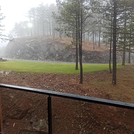 公寓 Maksimovic Divčibare