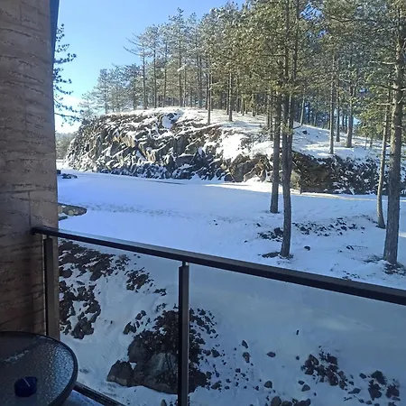 Maksimovic * Divčibare