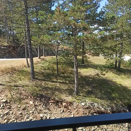 公寓 Maksimovic Divčibare