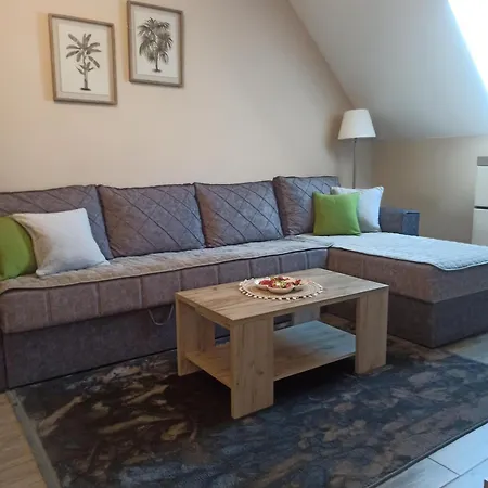 Maksimovic Divčibare