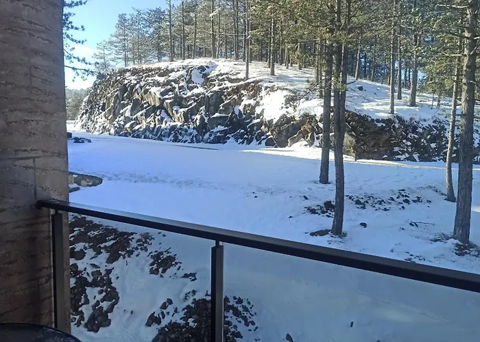 Maksimovic * Divčibare