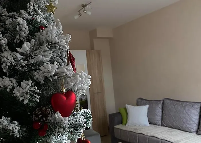 アパート Maksimovic *