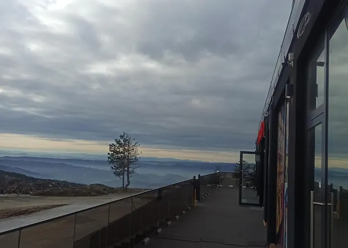 アパート Maksimovic *