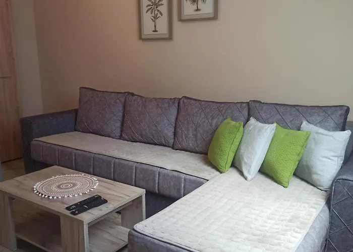 アパート Maksimovic *