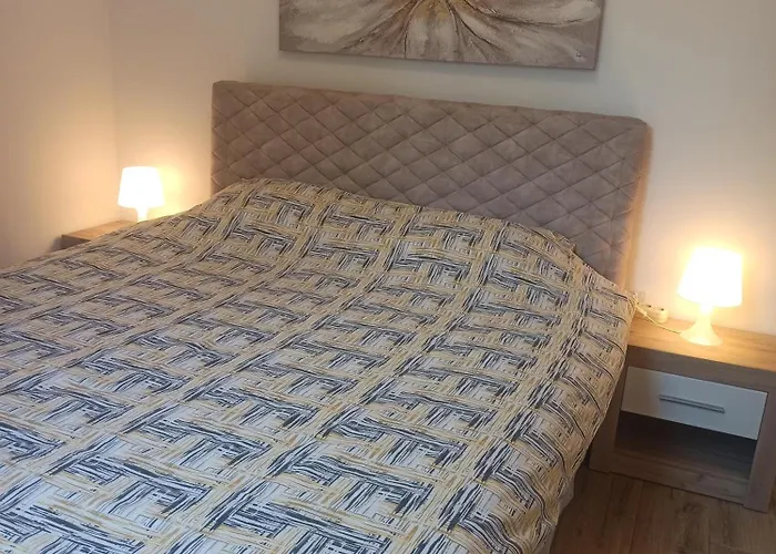 Maksimovic Divčibare