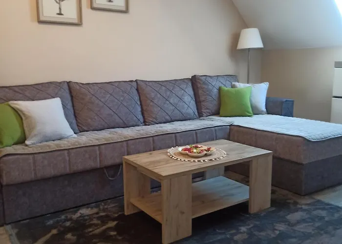 Maksimovic Divčibare