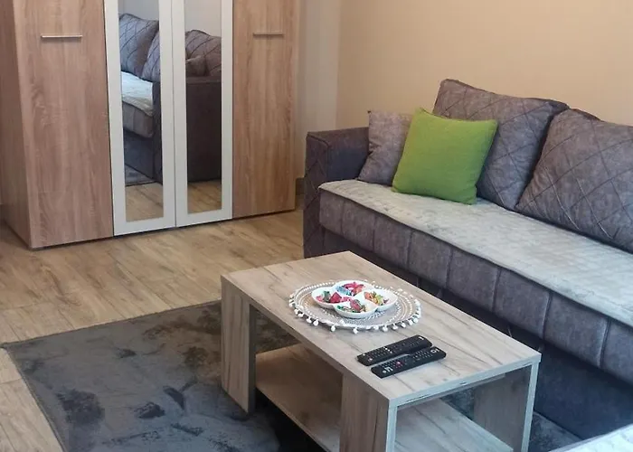 アパート Maksimovic *